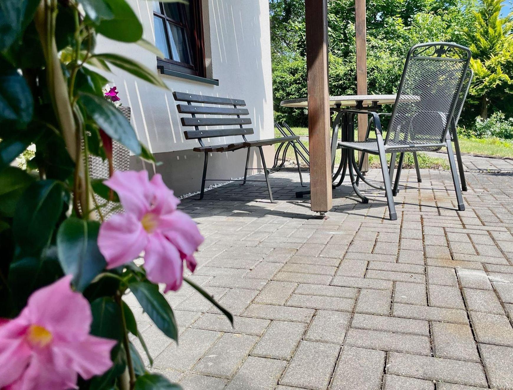 Muglitztal Ferienwohnung-Am-Suedhang מראה חיצוני תמונה